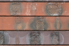 Crest. Discovery. Brick. Available from Brickmongers London